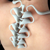 Vertebrae, 2002. Glass-filled nylon, 11